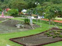 flowerfestivalplantings.jpg