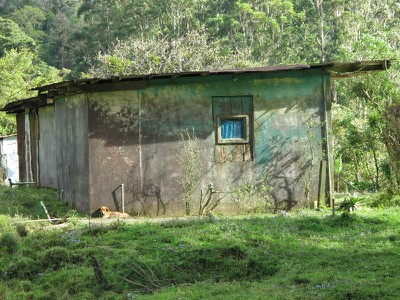 turquoise house