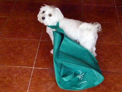 jazzgreenbag.jpg