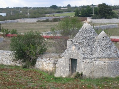 image_6.jpg