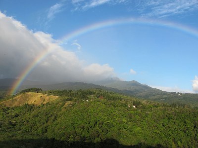 IMG_4334.jpg