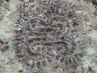 Petroglyph at Nancito