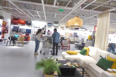 ikeadog.jpg