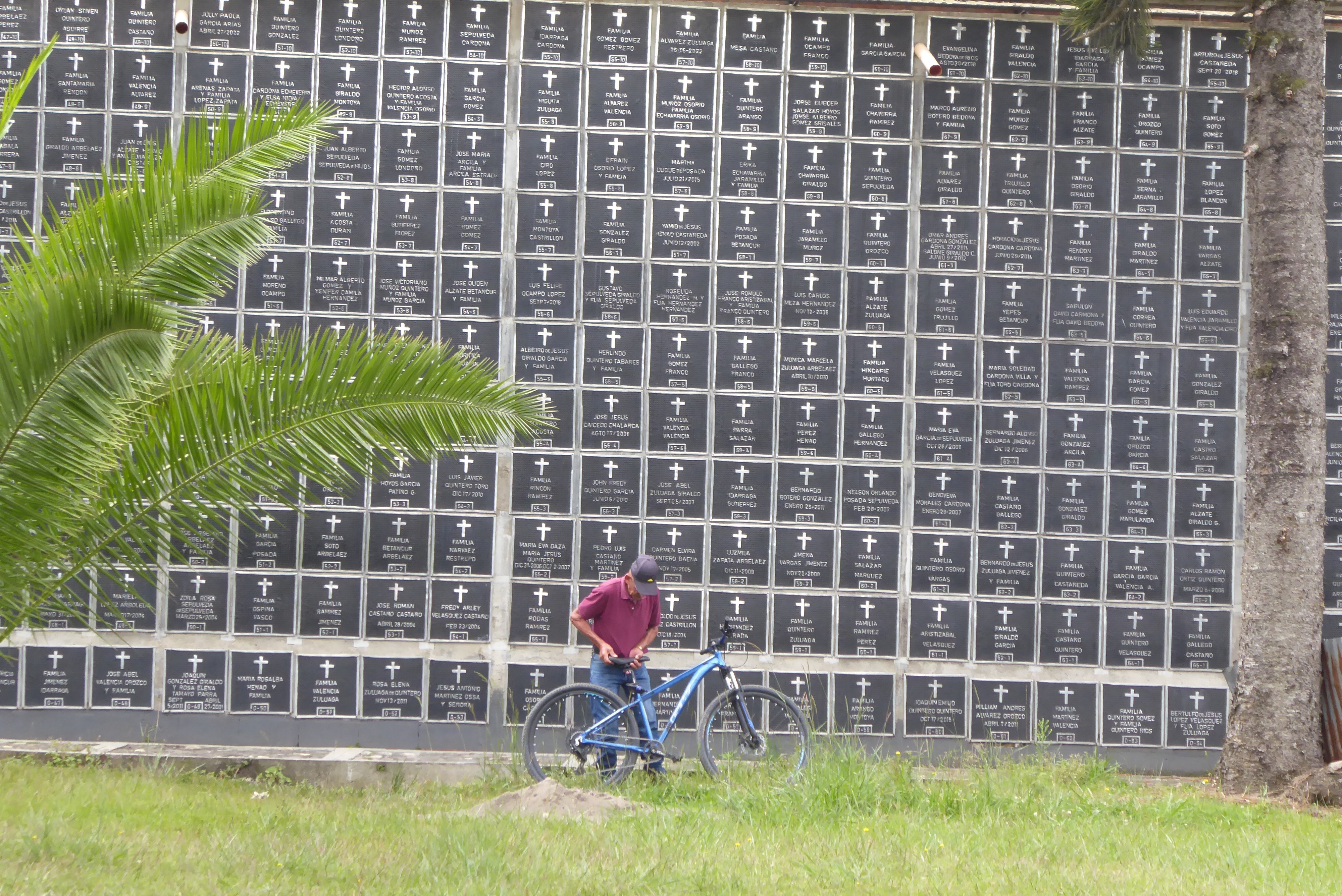 carmen cemetaryboxes.jpeg