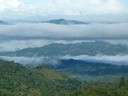 casabotaniaview.jpg