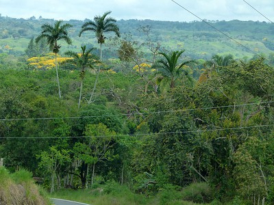 tovolcan.jpg