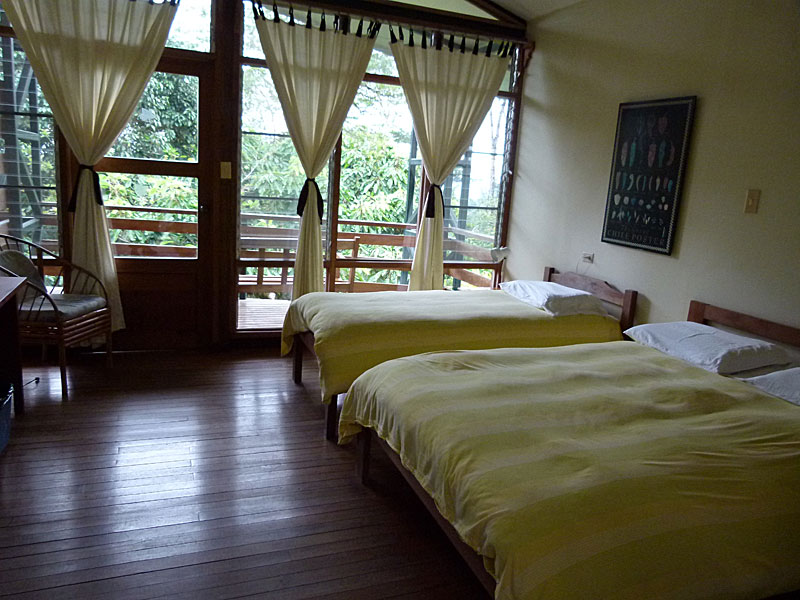 cabin-room-1.jpg