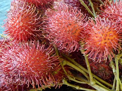 pricklyfruit.jpg