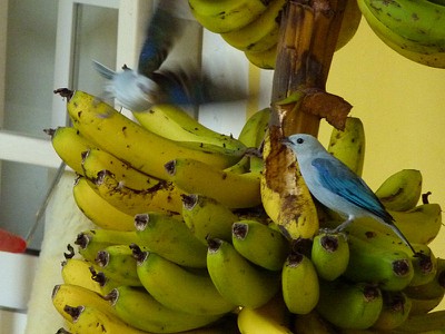 P1070213.jpg