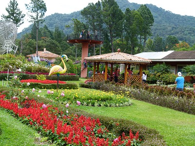 mijardin1.jpg