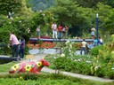mijardin3.jpg