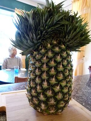 pineapple.jpg