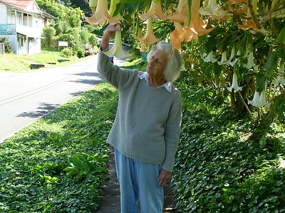 wandabellflowers.jpg