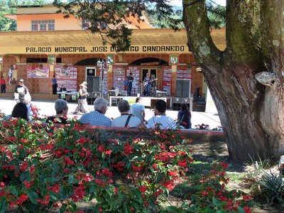 jazzinpark.jpg