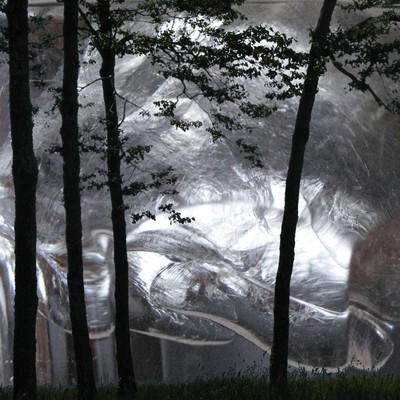 Icy Forest