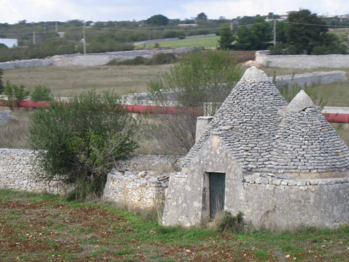 image_6.jpg