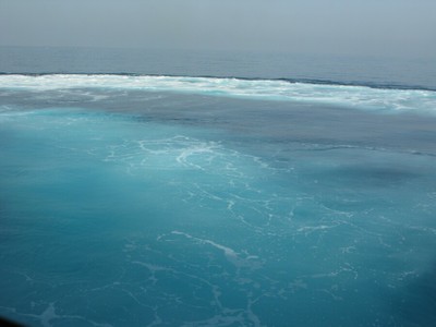 The Mediterranean