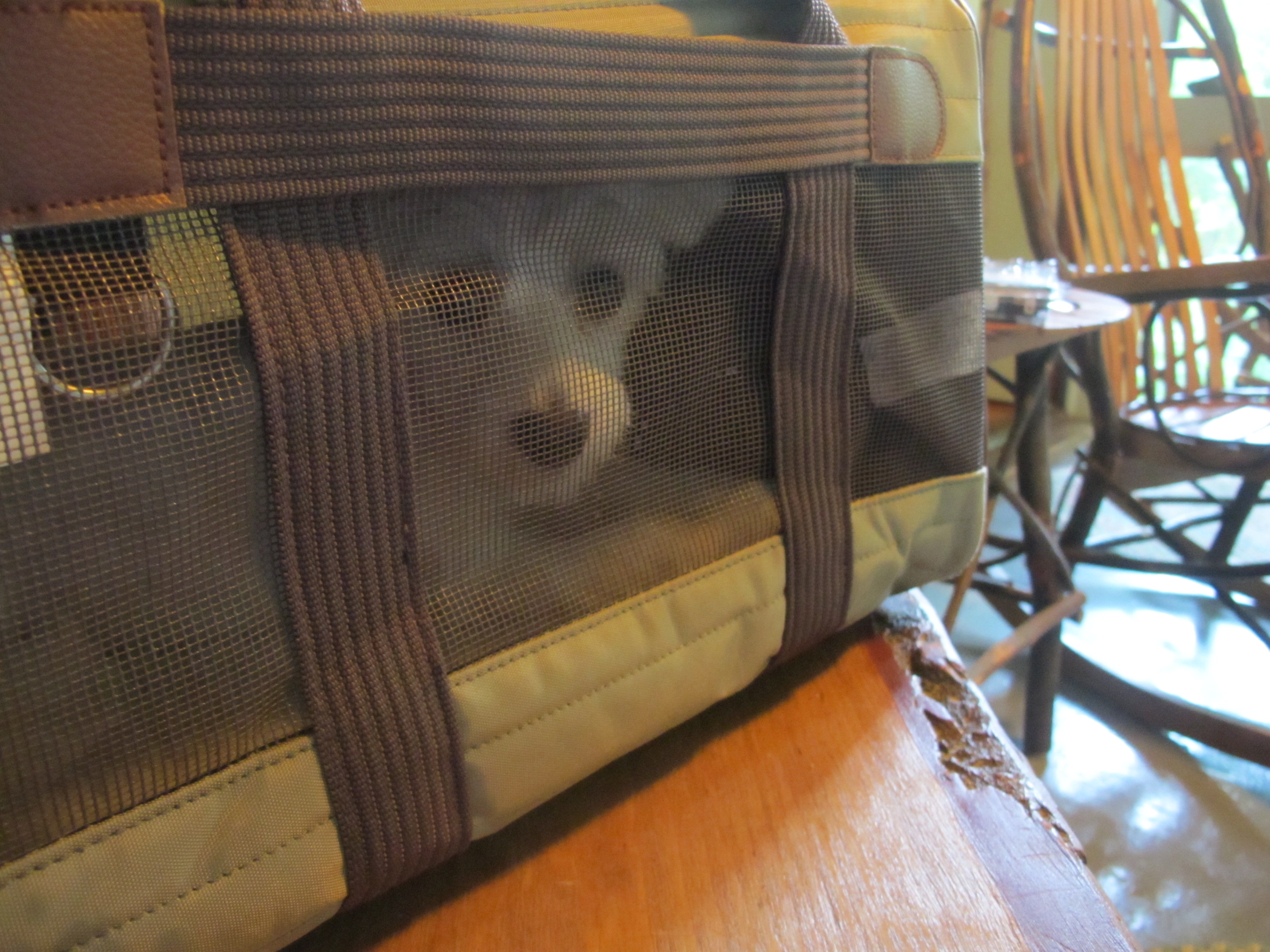 Learning to Travel