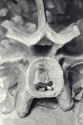 allisonvertebrae.jpg