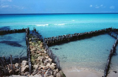 IMG_0244.jpg