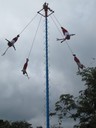 Mayan Pole Flyers at Tulum