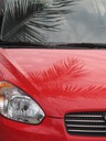 Red Rental