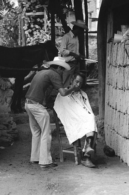 haircut.jpg