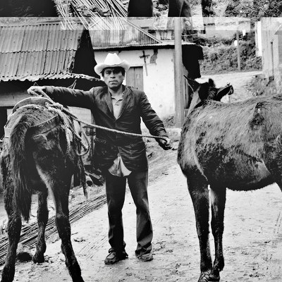 mantwoburros.jpg