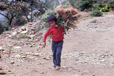 carryingherbs.jpg