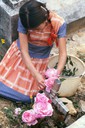flowersongrave.jpg