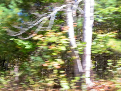 IMG_7077 -Large.jpg