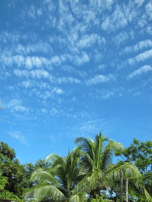A mackerel sky