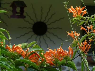 106.jpg