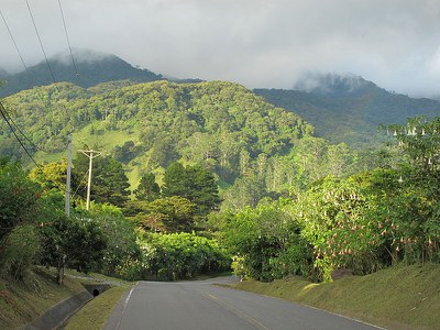 IMG_2655.jpg