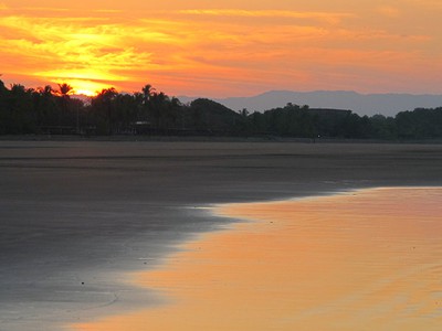 IMG_5221.jpg