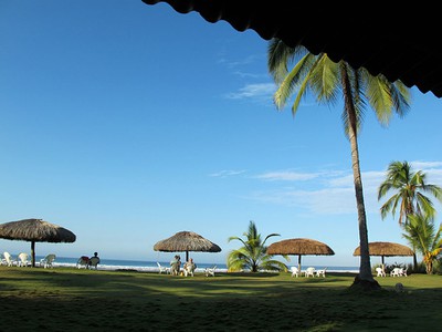 IMG_5310.jpg
