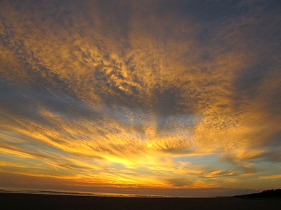 IMG_5582.jpg