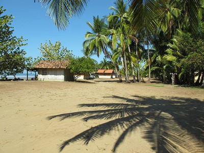 IMG_5847.jpg