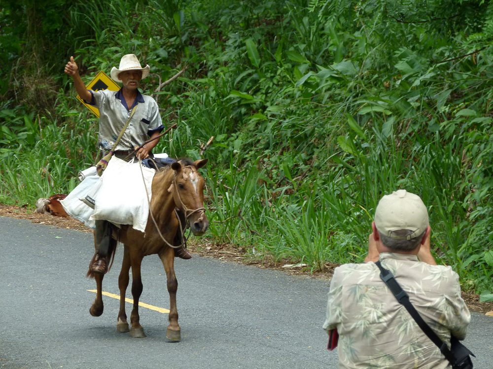 Neighbor on horseback