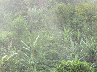 Bajareque - heavy mist from the north - almost daily event