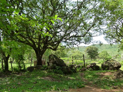 The path to the painted rock