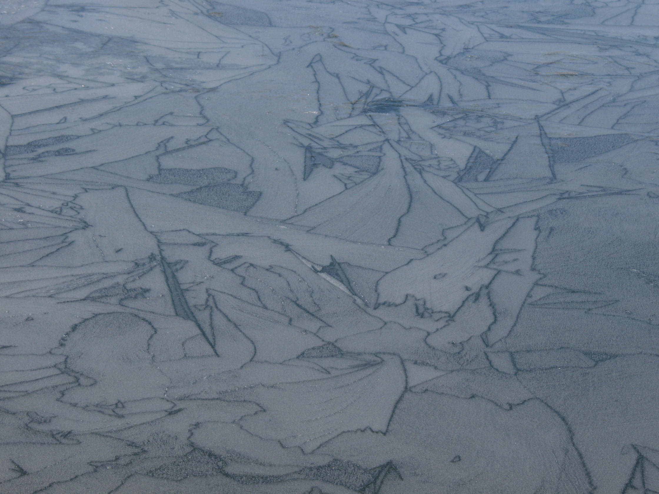 P2015006.JPG