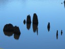 IMG_8510 -Large.jpg