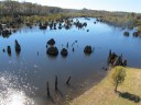 IMG_8518 -Large.jpg