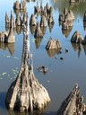 IMG_8527 -Large.jpg