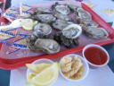IMG_8651 -Large.jpg