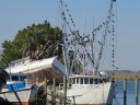 Shrimp Boats 