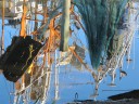 IMG_8806 -Large.jpg