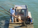 IMG_8987 -Large.jpg