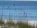 Mexico Beach, FL